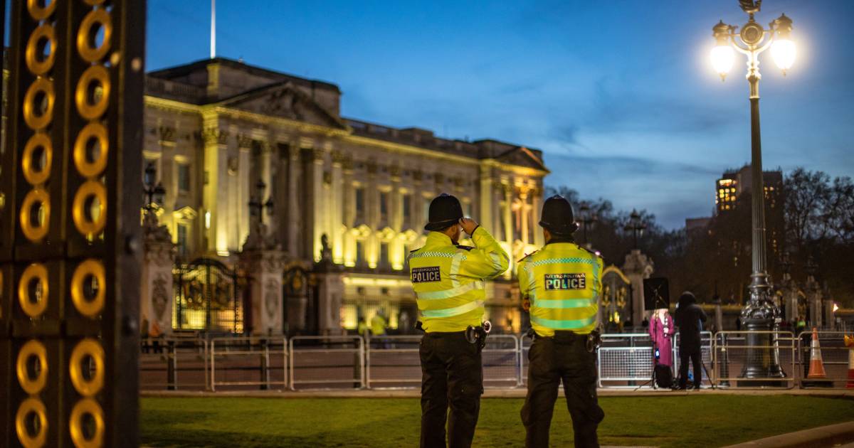 Uomo arrestato per lancio di munizioni a Buckingham Palace |  al di fuori