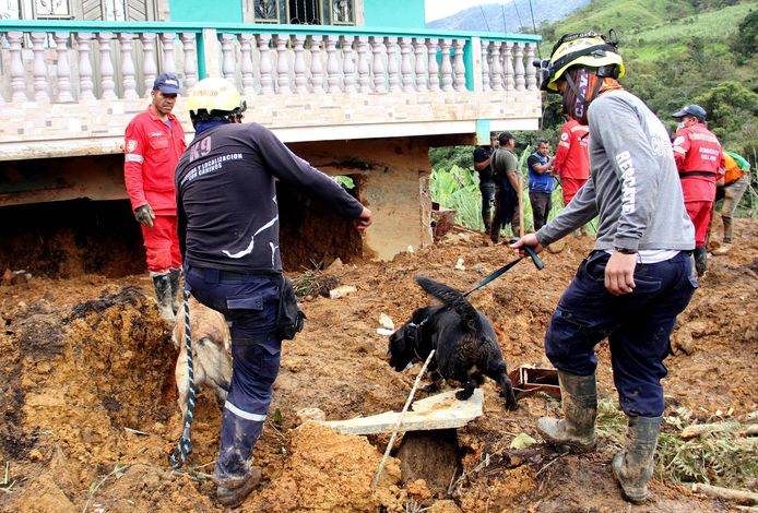 Reddingswerkers zijn met honden op zoek naar overlevenden na de aardverschuiving.