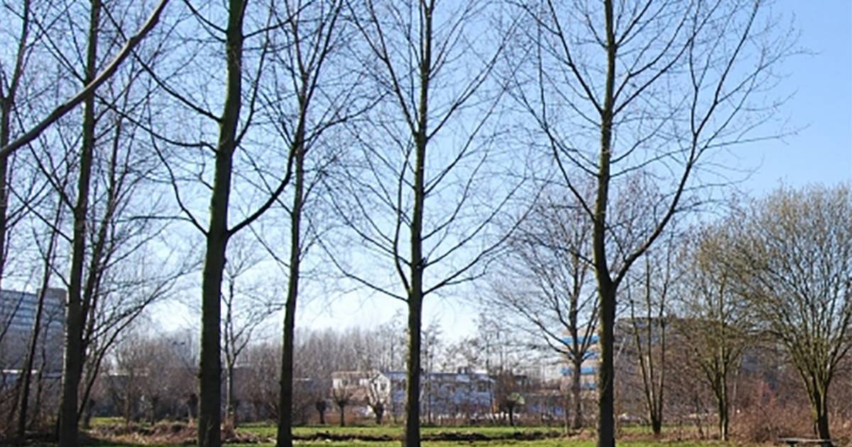 verkrachter-is-na-week-nog-spoorloos-binnenland-ad-nl