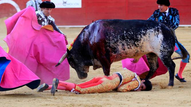 Voor het eerst deze eeuw Spaanse matador door stier gedood