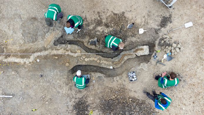 I paleontologi scavano il fossile.