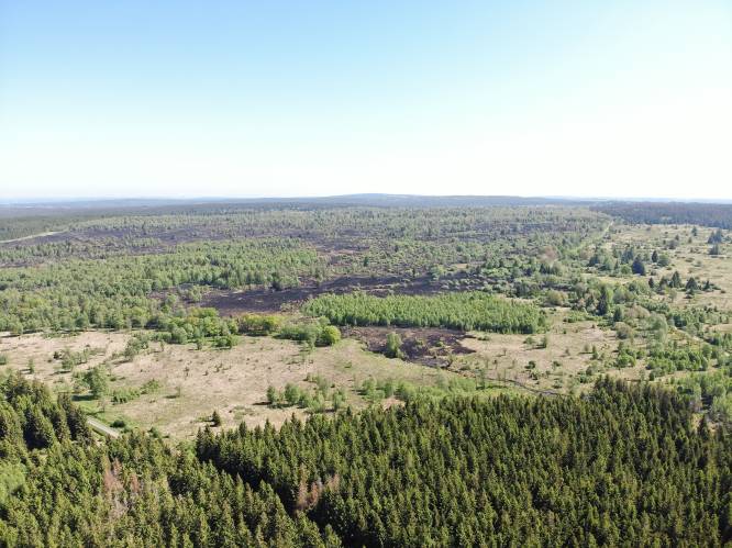Luchtbeelden tonen verwoesting van hevige natuurbrand op Hoge Venen
