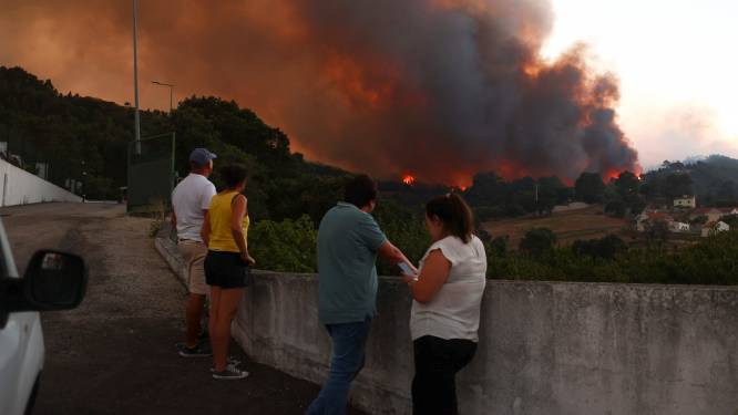 Grote bosbranden, hitte en droogte geselen Portugal en Frankrijk, ergste moet nog komen