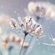 Winter Wonderland: zó maak je de mooiste sneeuwfoto's