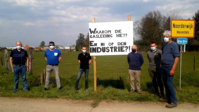 Herentalse boeren protesteren tegen komst van ondergrondse pijpleiding: “Samen met onze gronden neemt men ook onze toekomst hier af!”