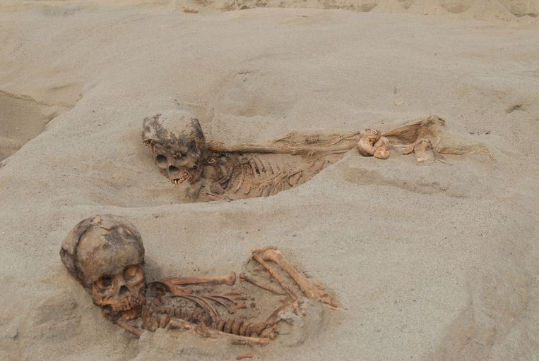 De overblijfselen van de kinderen werden gevonden in een gebied van 700 vierkante meter. Beeld John Verano (2019)