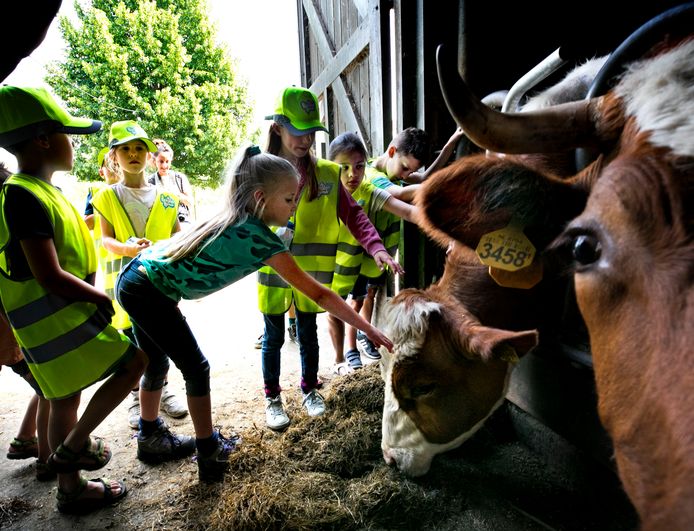 Beestenbende bezoekt de Genneper Hoeve in Eindhoven