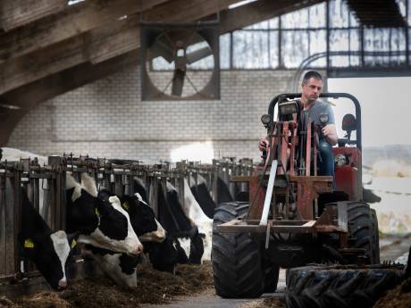 Protest tegen koeiennorm vooral vanuit Brabant en Limburg: ‘Hier zouden veel melkveehouders verdwijnen’