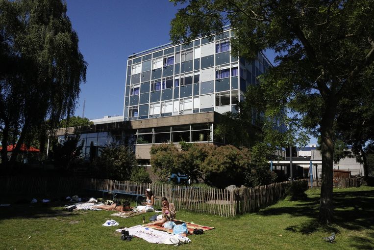Pension Homeland. Beeld Sophie Saddington