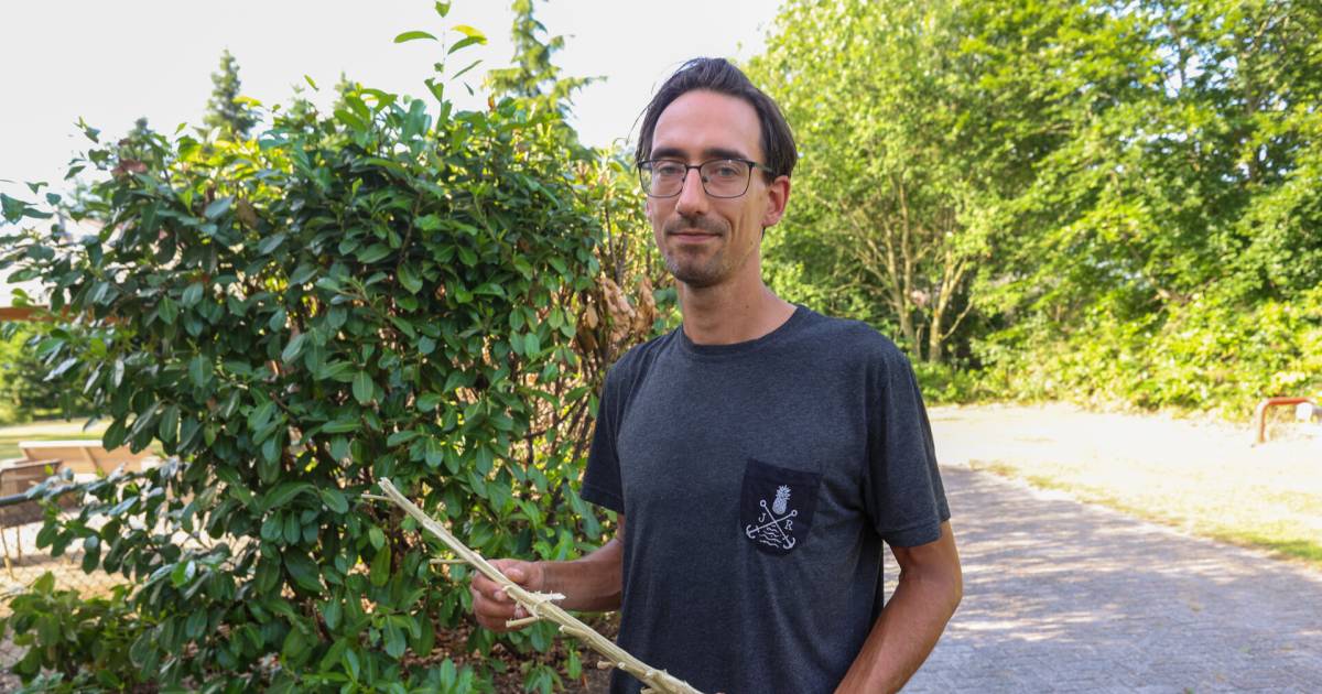 "[...] de uitvoering van de #Wet_Damocles hangt wel erg aan die handelshoeveelheid, volgens [advocaat] De Jong.