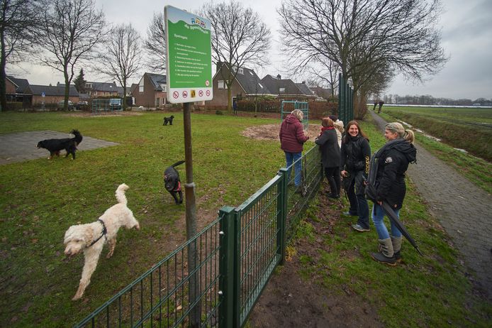 Het afgerasterd speelveldje in de wijk Dooleggen in Boekel waar hondenbezitters hun hond lieten spelen.