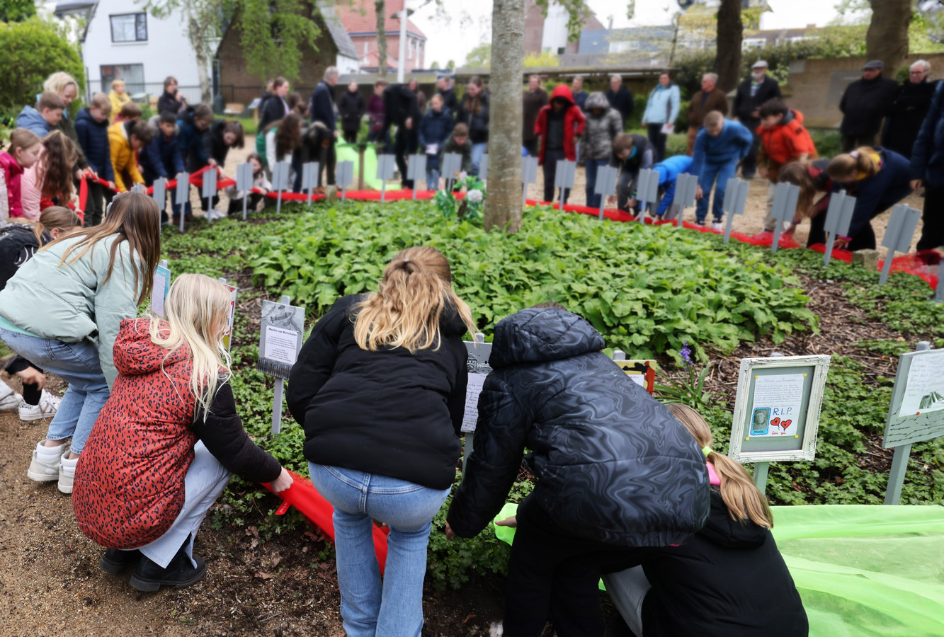 Schoolkinderen maken gedichten over oorlog: ‘Je identificeert je het ...