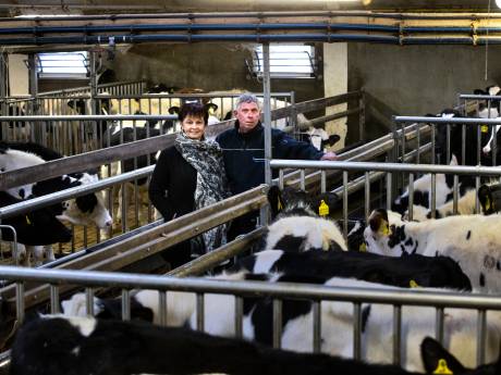 Mening | Stop strooien met miljarden bij het uitkopen van boeren; geef stoppers zicht op zinvol bestaan en goed perspectief