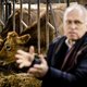 Boeren boos nu Europa de vrijstelling voor mestregels intrekt