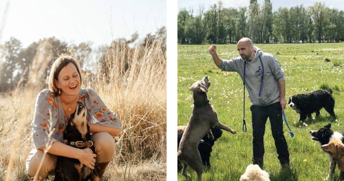 Sempre più belgi stanno facendo del “dog walking” la loro professione.  “Prendo 40 euro al giorno per ogni cane” |  L’Instagram di HLN