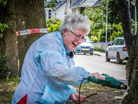 Attie (69) uit Enschede maakt korte metten met jeukrups: ‘Leer ze mores met mijn verfbrander’