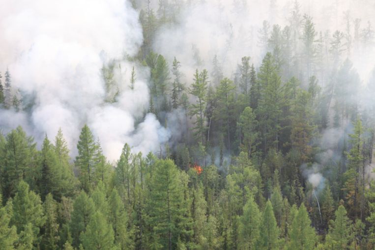 Brand in Siberische bossen. Beeld AP