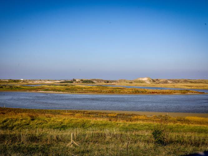 Wordt Zwinstreek erkend als Vlaams Landschapspark? “Eén van de mooiste regio’s van Vlaanderen”