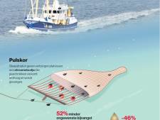 Europa doet ultieme poging om vissen met stroomstootjes tegen te gaan