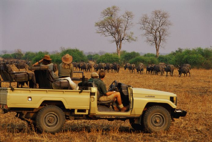 Een safari in Zambia
