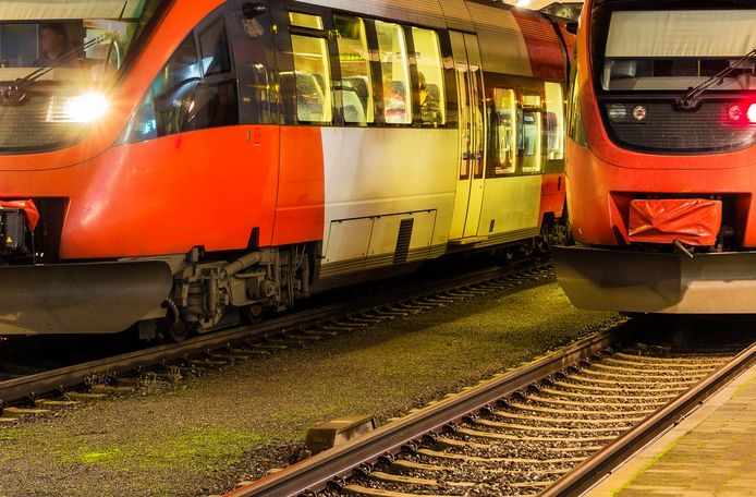Treinen op een Oostenrijks station.