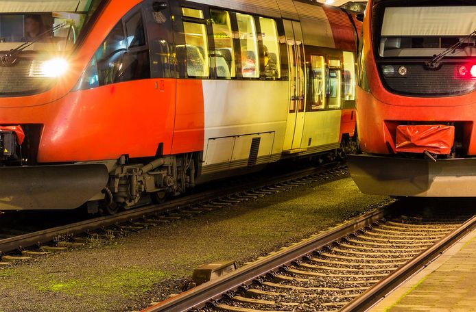 Treinen op een Oostenrijks station.