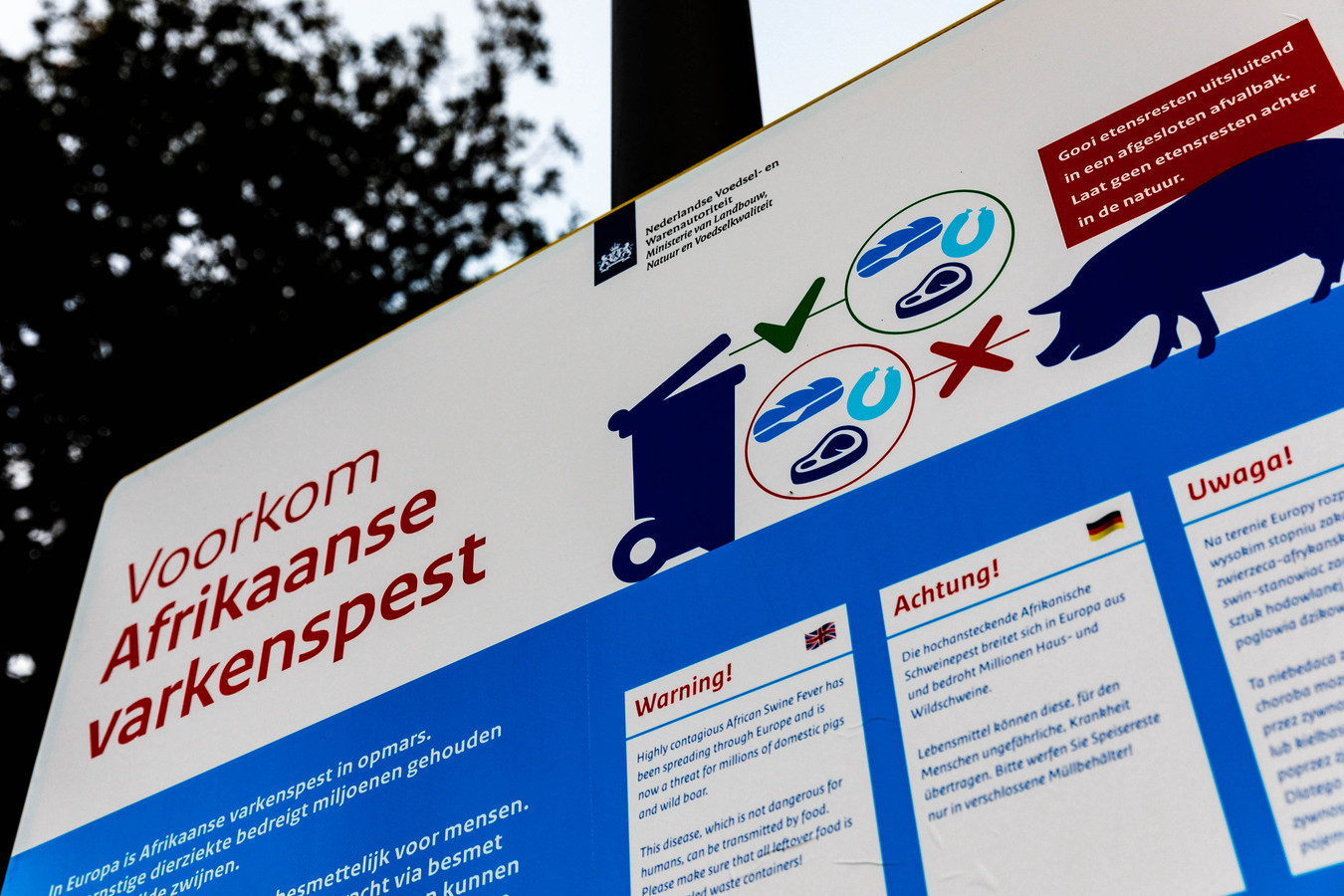 Langs snelwegen bij de grens met Duitsland waarschuwt Nederland al voor verspreiding van de voor dieren dodelijke varkenspest.