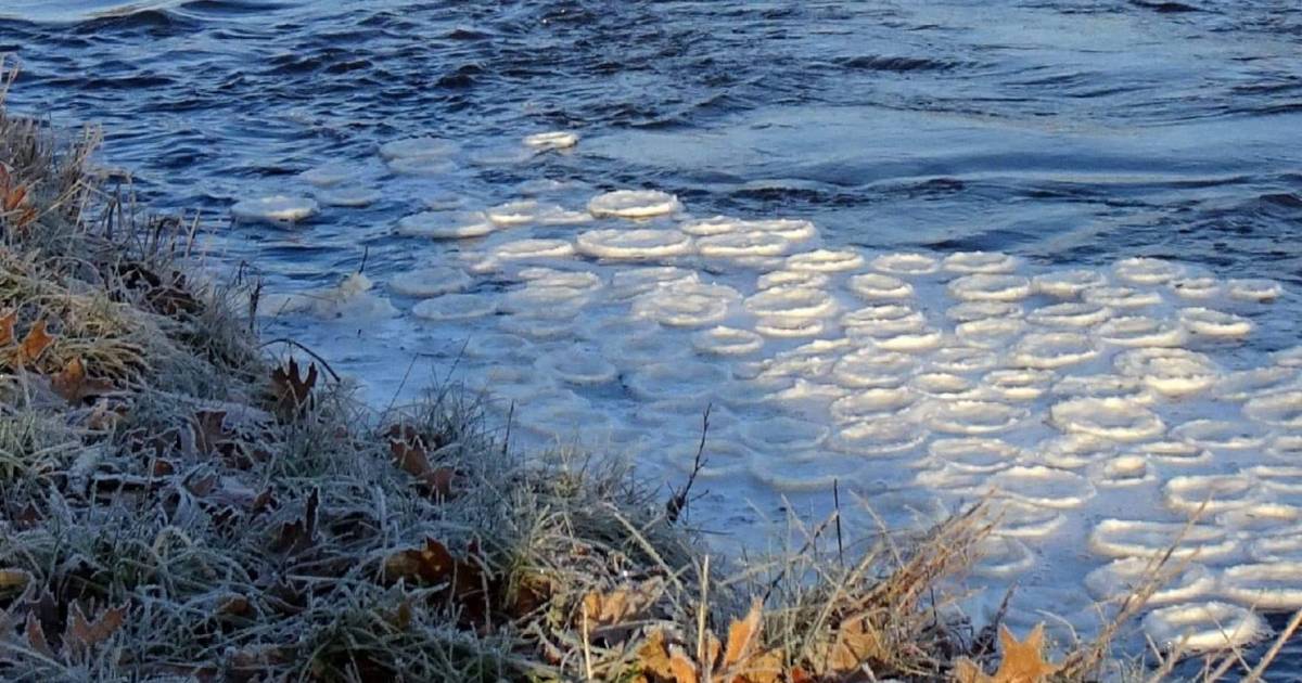 Bijzonder natuurverschijnsel in Rietmolen: IJspannenkoeken! 'Prachtig gezicht' | Achterhoek | tubant