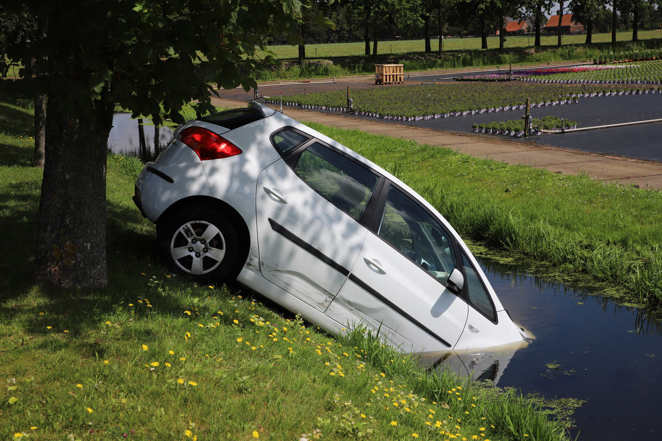 Auto In De Sloot Na Ongeluk Wassenaar A44 Tijdelijk Dicht Foto Ad Nl