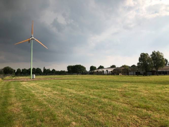 Kleine windmolens hebben de wind in de zeilen: Al 58 vergunningen afgeleverd in West-Vlaanderen