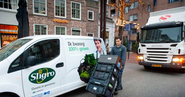 Een elektrische auto met knuffelfactor is slechts een ...