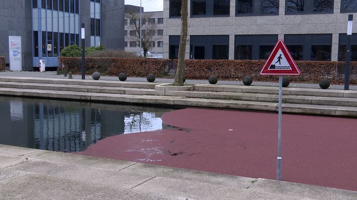 A volte è chiaro che ha a che fare con l'acqua.  L'artista partecipante dice: 