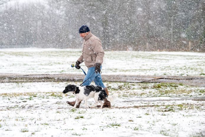 Met je hond door de sneeuw: dat kan prima, maar dit moet je dan