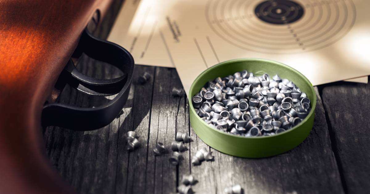 Belgische Jongen 12 Per Ongeluk Door Vriendje Doodgeschoten Met Luchtbuks Buitenland Ad Nl