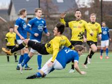 Ballenvanger te laag voor kelderkraker Leones-Woezik