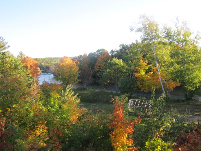 De natuur van New Brunswick is prachtig.