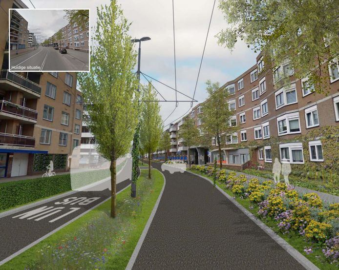 De gemeente Arnhem wil de Ir. J.P. van Muijlwijkstraat, volgens velen de lelijkste straat van Arnhem, een metamorfose geven. Hier een impressie.