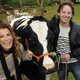 Cas Jansen promoot nieuwe film door koeien te knuffelen