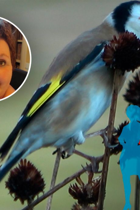 TROTS: Marit uit Apeldoorn geniet van de natuur - en wil daarom wat teruggeven