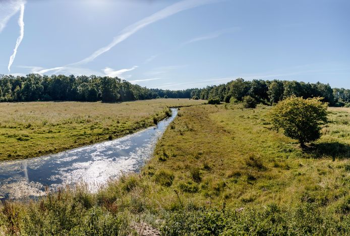 Het Kuinderbos is een van de gebieden in Flevoland waar de provincie meer aandacht wil voor de stilte.