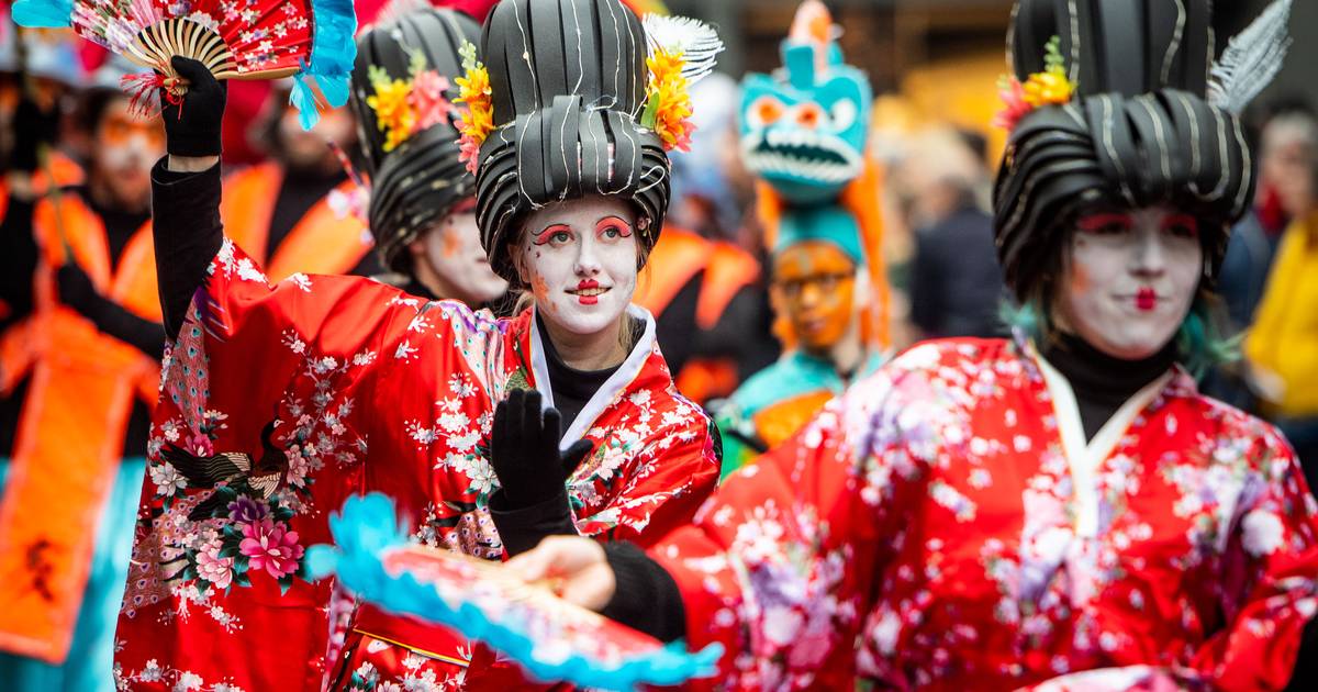 Mammoet Begrafenis hooi Nieuwe route carnavalsoptocht Enschede geslaagd, volgend jaar weer |  Carnaval in Twente 2019 | tubantia.nl