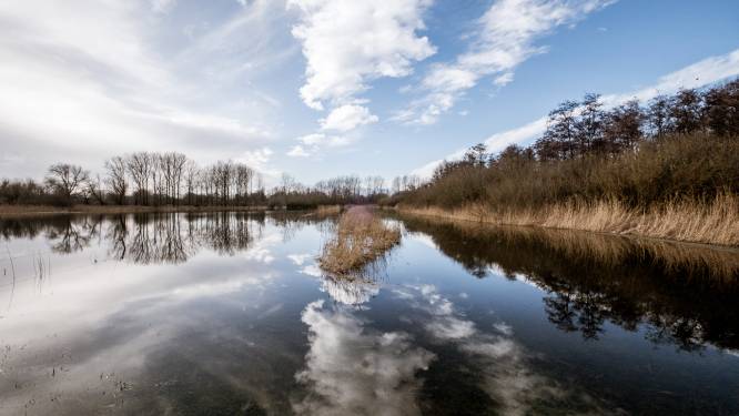 Ontdek al wandelend de afwisselende natuur van de Dommelvallei