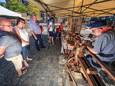 Het hele weekend zijn er koopjes te doen bij de lokale handelaars op de braderie. Op zondag verzamelen vanaf 10u meer dan 60 kunstenaars op en rond het marktplein.