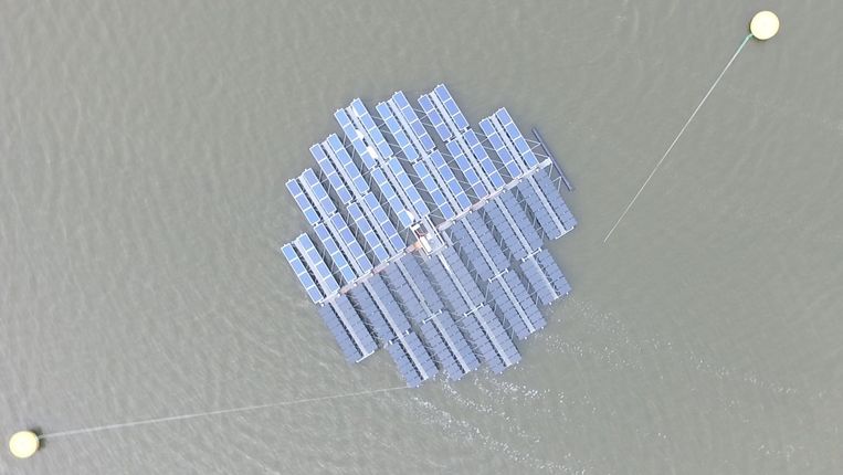 Het zonne-eiland van Floating Solar met het liersysteem dat de panelen op de zon gericht houdt. Beeld Floating Solar