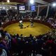 Bloed, stof en veren: hanengevechten gaan door in Mexicaanse deelstaat Veracruz, ondanks verbod