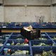 Volkskrant Ochtend: Krijgen leraren er na staking 3 procent bij? | Voedselbankklanten eten ongezond: te weinig groente en fruit