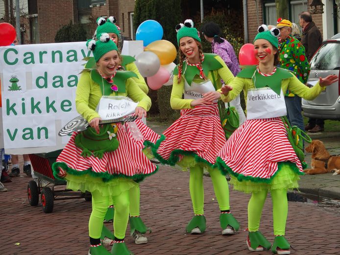 Onmogelijk Bedelen gevaarlijk Carnaval 2016: uitslagen van de optochten in de regio | Carnaval | ed.nl