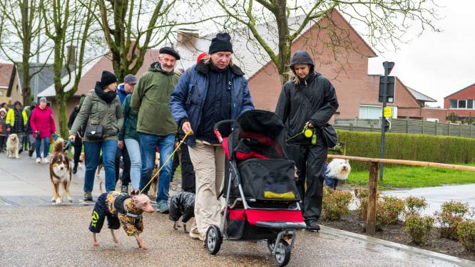Viervoeters en hun baasjes wandelen ten voordele van dierenasiel