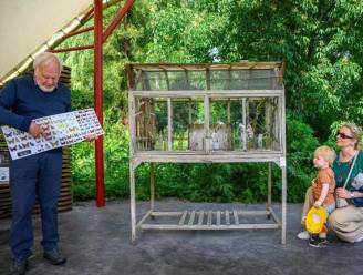 De ‘vlinderpoppenkast’ van Gilbert staat weer in het Arboretum: “Helpen om deze soort te laten overleven”