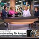 Is Zweden in 2025 een rookvrije natie?